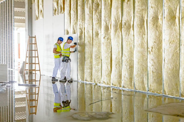Best Geographic-Specific Insulation Services in Putnam Lake, NY